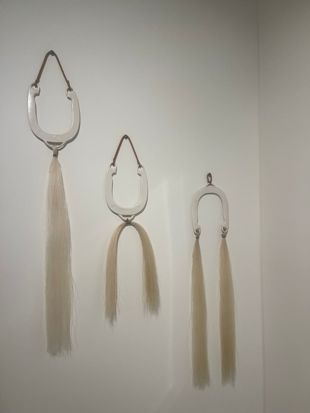 Custom Horseshoe Wall Hang