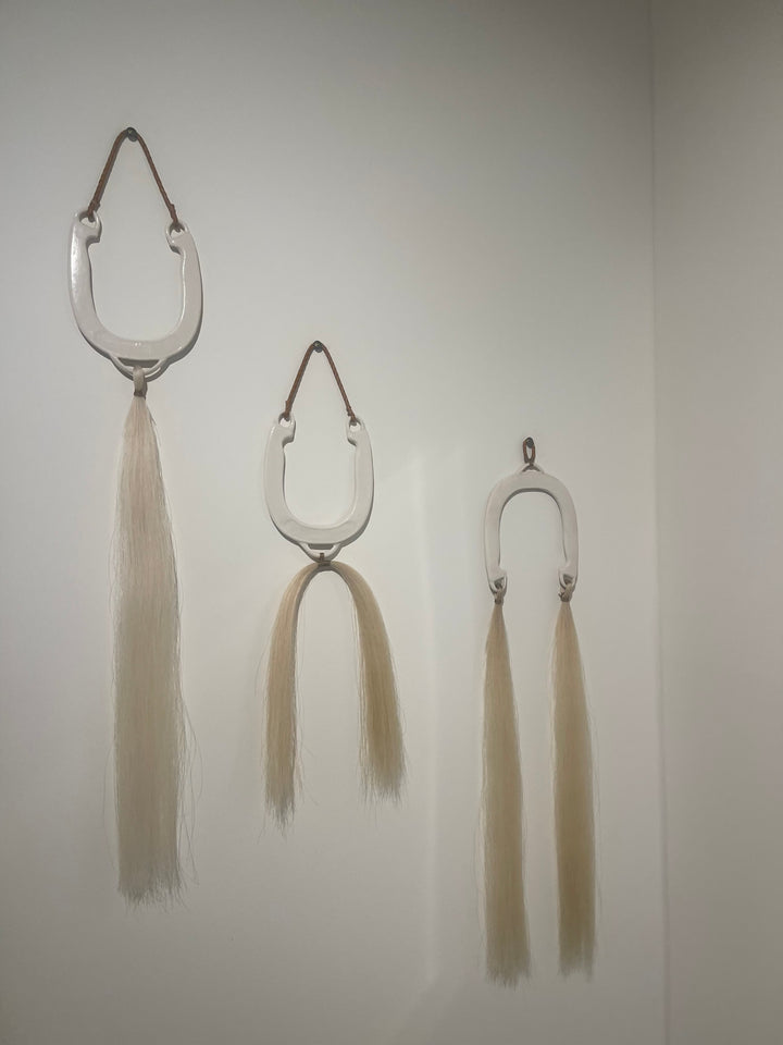 Custom Horseshoe Wall Hang