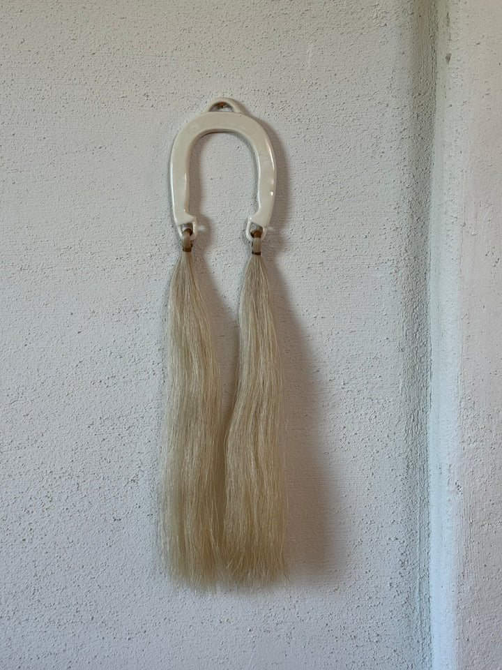 Horseshoe Wall Hang