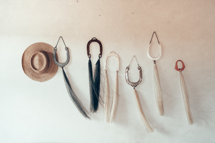 Custom Horseshoe Wall Hang