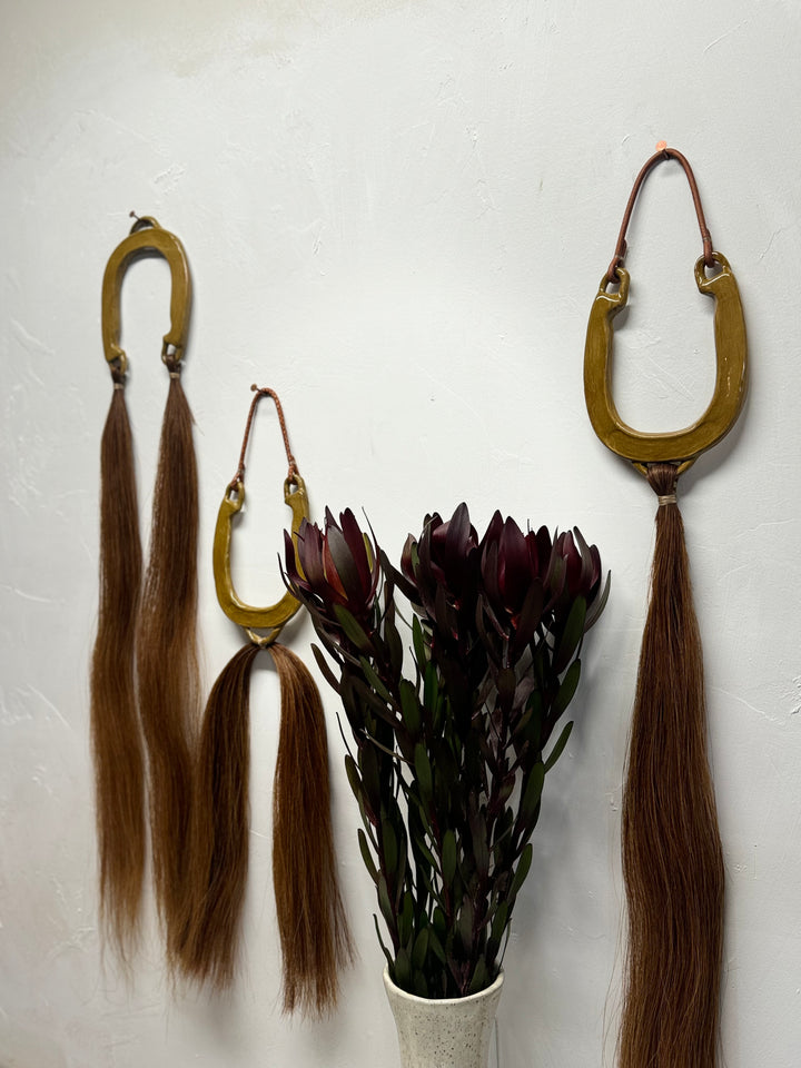 Custom Horseshoe Wall Hang