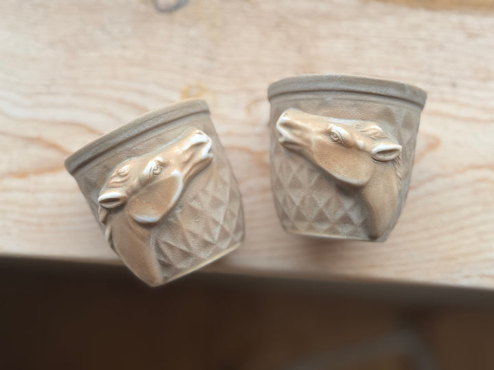 Horse Tonic Cup