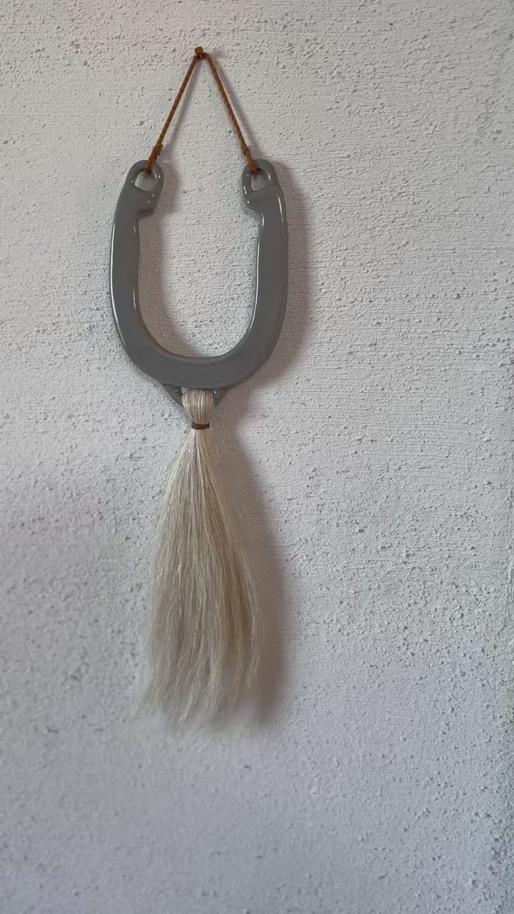 Horseshoe Wall Hang